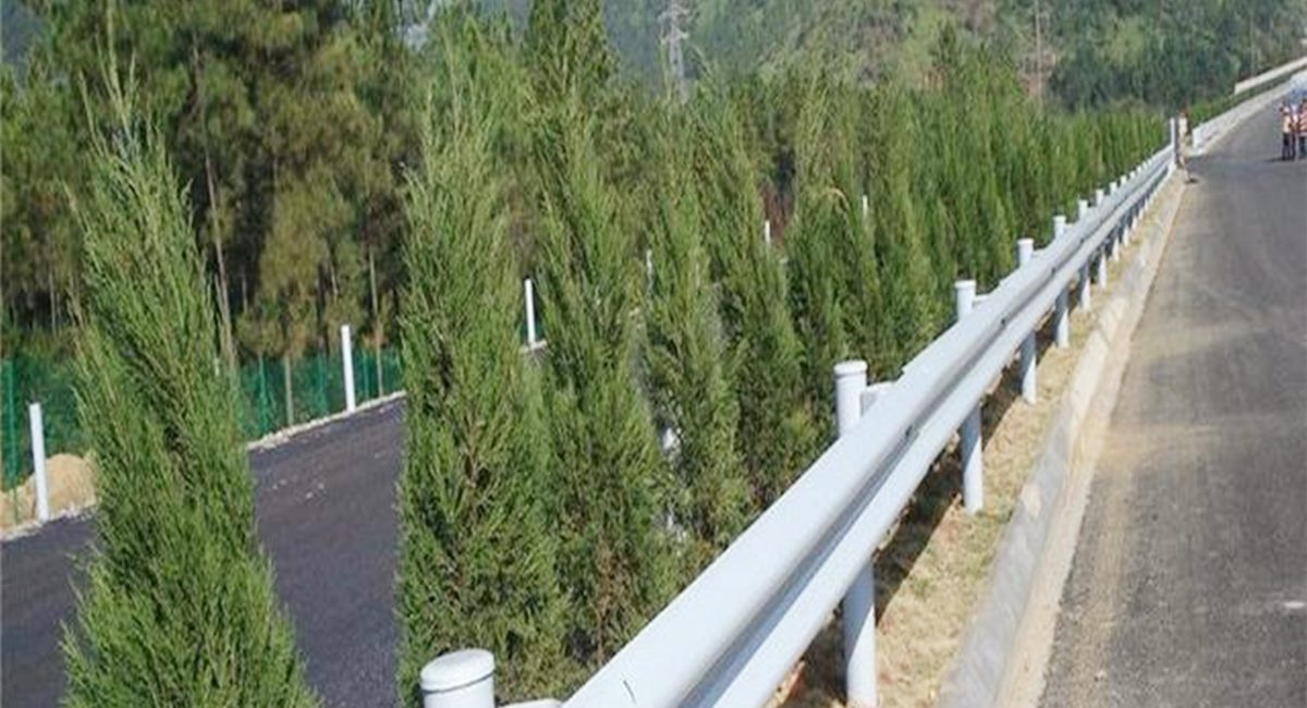 波形護(hù)欄板、鄉(xiāng)村道路護(hù)欄、單波護(hù)欄板世騰加工定制